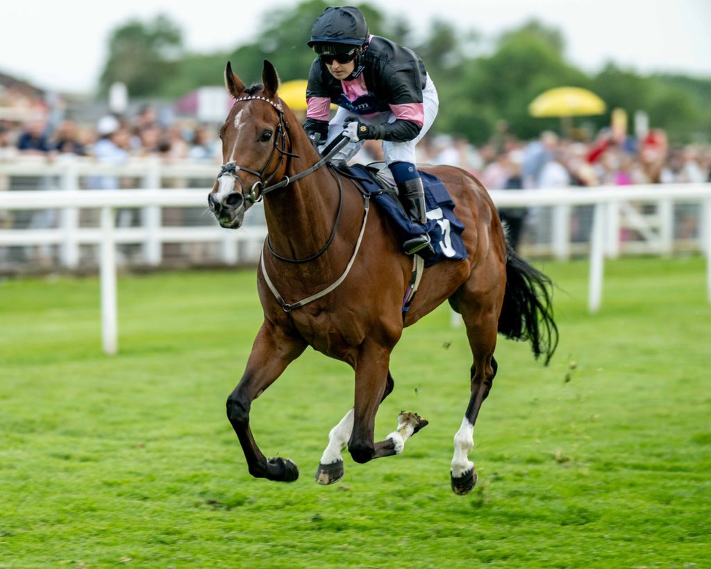 Windsor Racecourse (@windsorraces) on Twitter photo Race 7 Result: Sri Lanka The Teardrop Island Handicap
π Great Acclaim
Jockey: <a href="/GeorgiaDobie1/">Georgia Dobie</a>
Trainer: <a href="/johnsonhoughton/">Eve Johnson Houghton</a>
Owner: G Owen
πΈ <a href="/dcoolimages/">Darren Cool Images</a> Race 7 Result: Sri Lanka The Teardrop Island Handicap
π Great Acclaim
Jockey: <a href="/GeorgiaDobie1/">Georgia Dobie</a>
Trainer: <a href="/johnsonhoughton/">Eve Johnson Houghton</a>
Owner: G Owen
πΈ <a href="/dcoolimages/">Darren Cool Images</a>