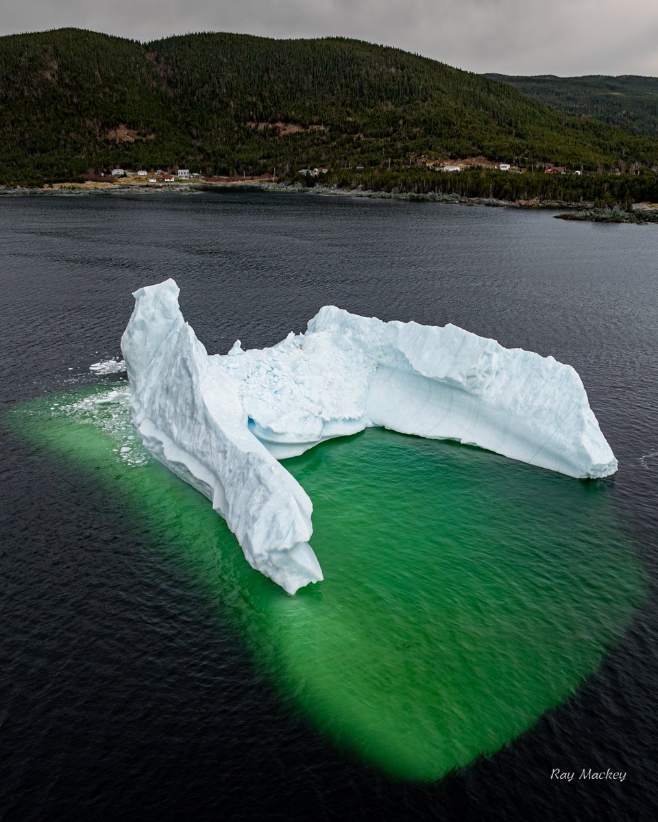 Coachmans Cove Newfoundland #newfoundland #canada