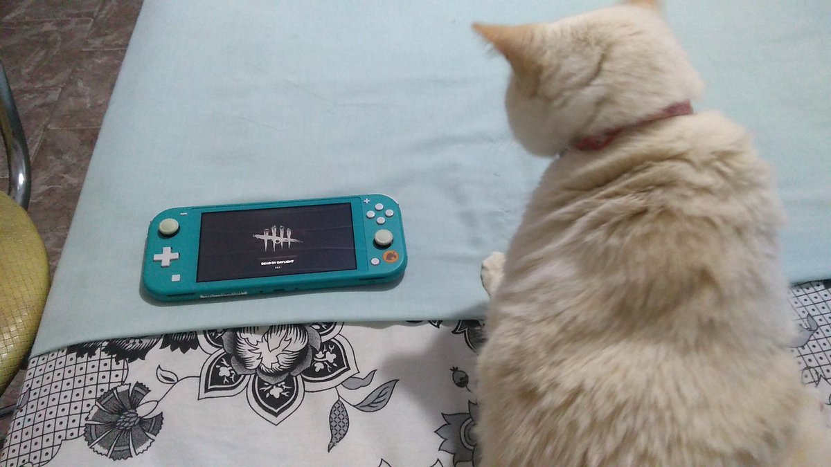 Tem alguém querendo jogar 😂❤️ #DeadbyDaylight #NintendoSwitch #CatGamer