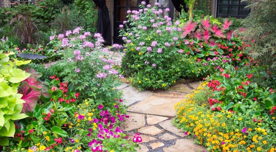 With June getting closer each day, are you ready for all the challenges it may hold? Here are some easy steps to help you be prepared for anything.

#June #Texas #Gardening

buff.ly/3sWz0Wz