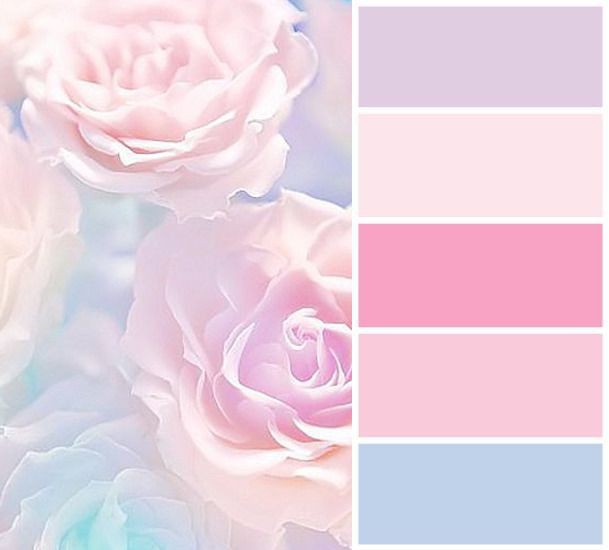 Mabella. tweet media