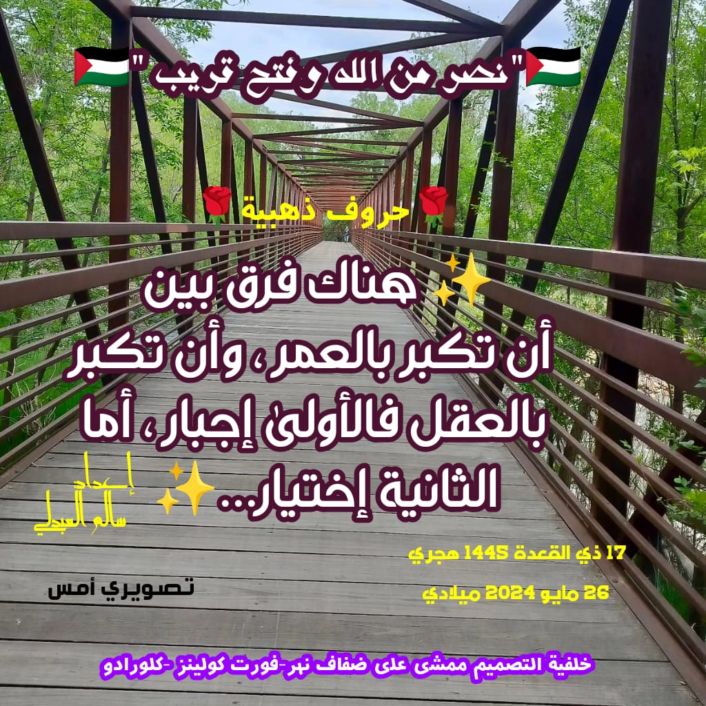 Salim Alabdali سالم العبدلي (@SalimAlabdali1) on Twitter photo 2024-05-26 00:55:56