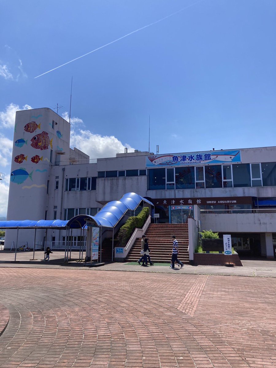 803_yama's tweet photo. 魚津水族館に行ってきました🐟
現存する中で日本最古の水族館⁈
展示が工夫され、しかも丁寧で、楽しめました☺️

写真は色々撮りましたが、特にリュウグウノツカイの剥製の正面からの顔とあまりにもスタッフの方に懐いてる魚に惹かれました🤭 https://t.co/ODcRvkfWJg