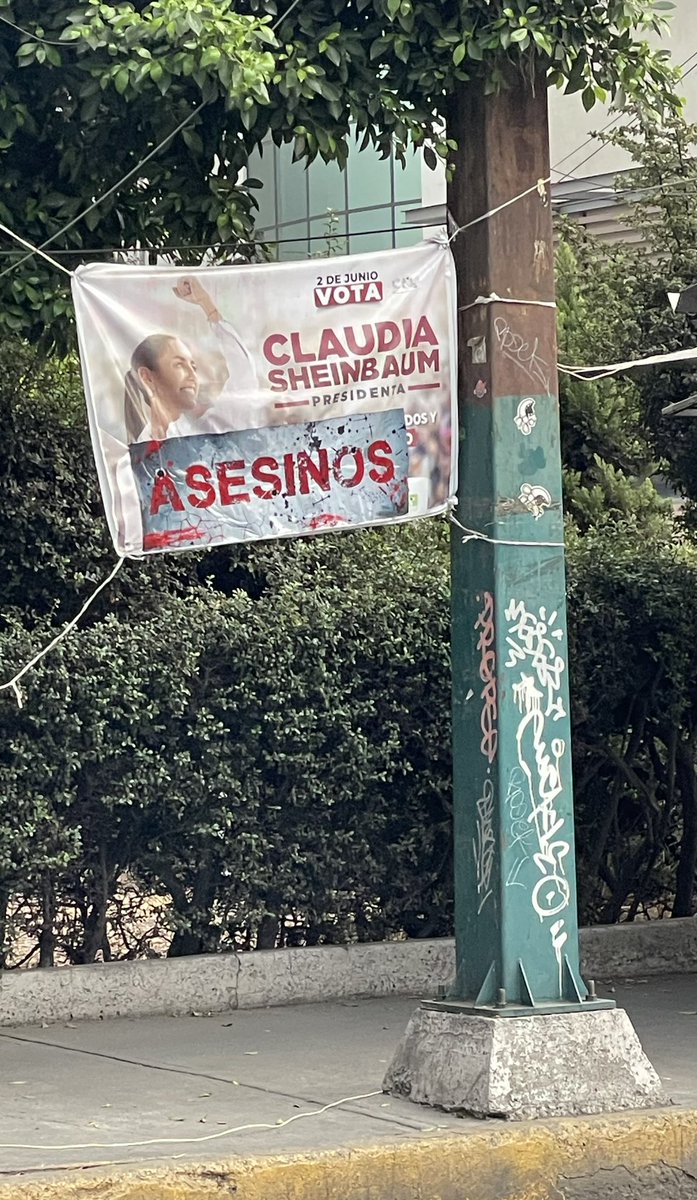 AGUSTÍN  LEÓN tweet media