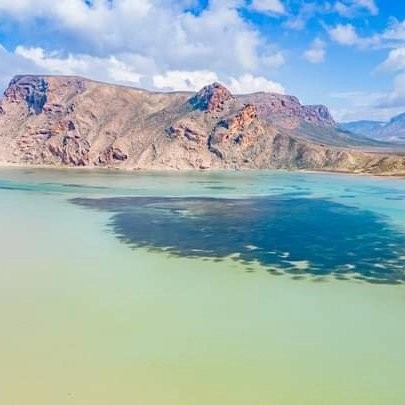 Aa702Ali's tweet photo. Pristine Beaches**: Socotra features some of the most unspoiled beaches in the world, with white sands and crystal-clear waters. Detwah Lagoon and Qalansiyah Beach are particularly famous for their natural beauty.
Socotra Reliable Tours and  travels 
https://t.co/CNI3jlSLcM https://t.co/PdeJICf6vv