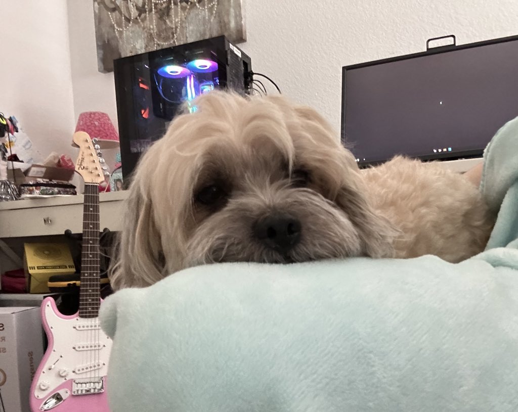 2-0 <a href="/FlyQuestRED/">FLY RED</a> we are your oq3 winners wooo! very proud of the team