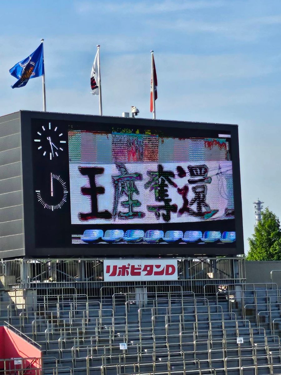 ワイルドナイツカフェ tweet media