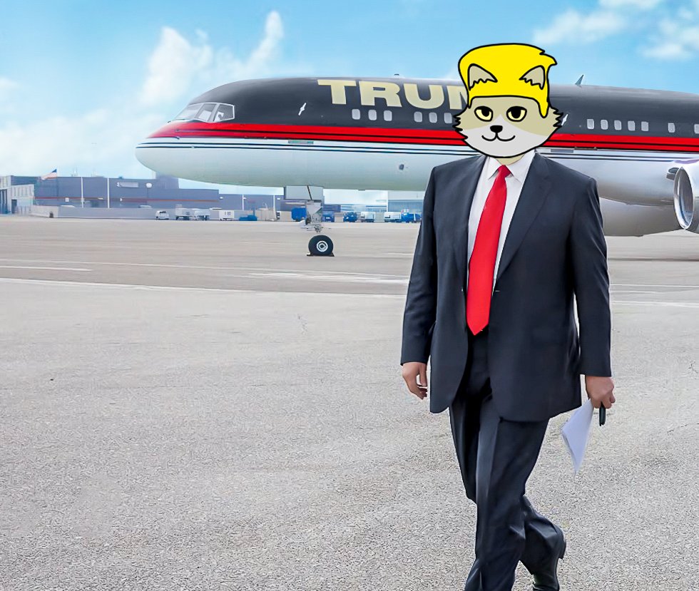 TrumpCatSol_'s tweet photo. $CATRMP 🇺🇸JUST DROPPED on @RaydiumProtocol

DEX: https://t.co/zN3uHMr232

LETS MAKE CATS GREAT AGAIN YOUR FAVORITE MEME COMING TO CLEAN THIS DIRTY SPACE OF RUGGED PROJECTS AND FILTHY JEETS! 🇺🇸
#memecoins #solana #solanamemecoins https://t.co/GLrNuQtshA