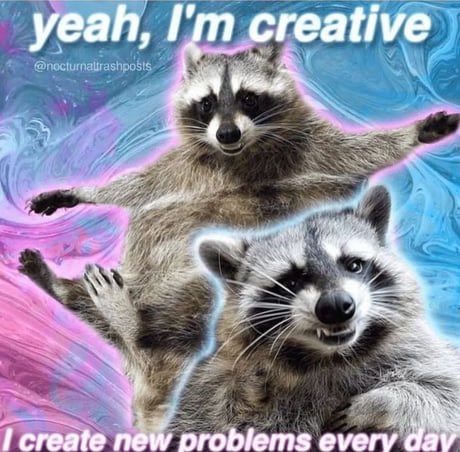 raccoon aesthetic. (@raccoonesthetic) on Twitter photo 2024-05-26 01:06:45