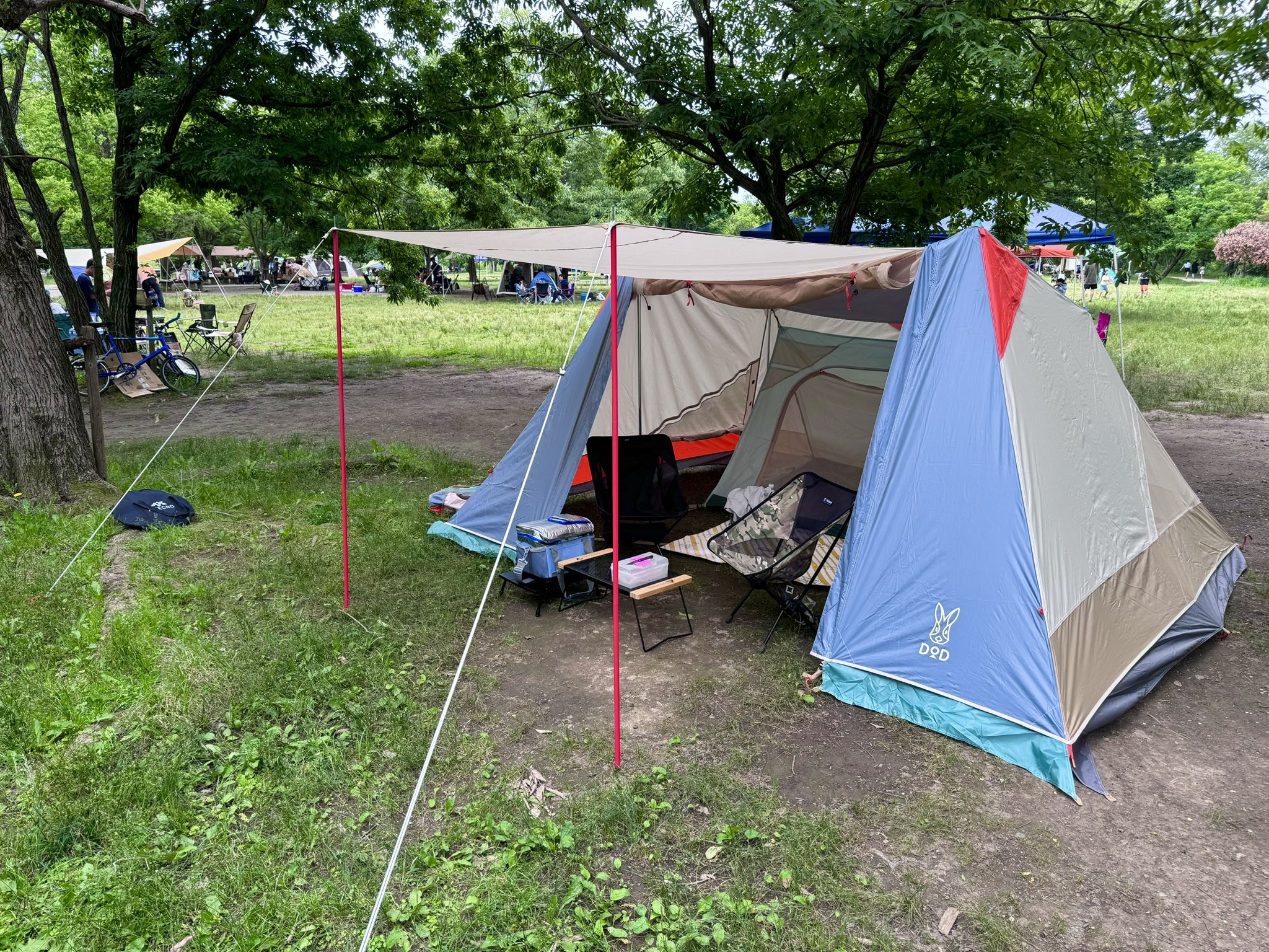 エコソウルイェイイェイDOD 【公式通販】