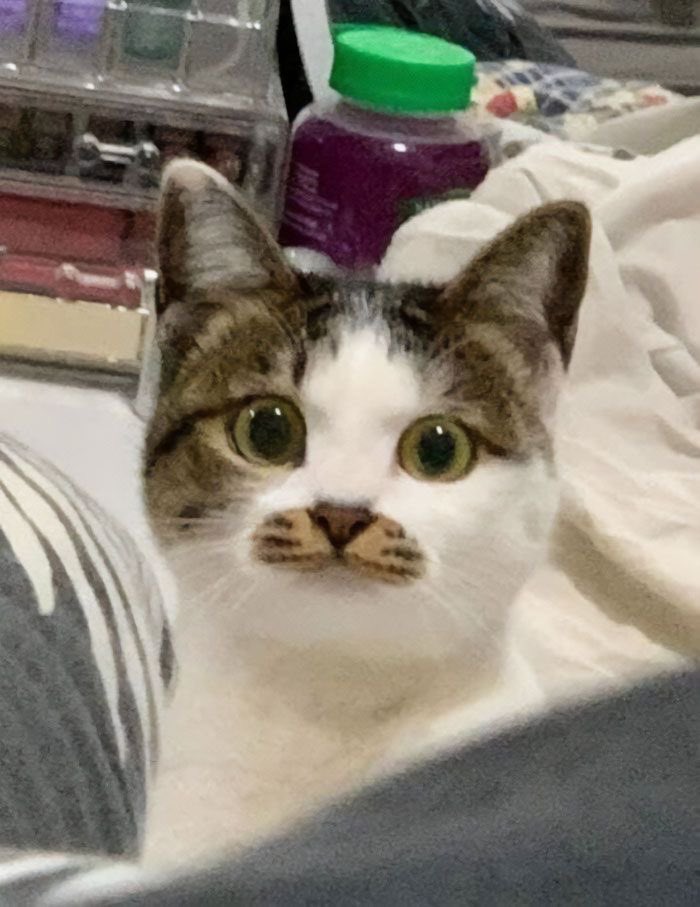 :3