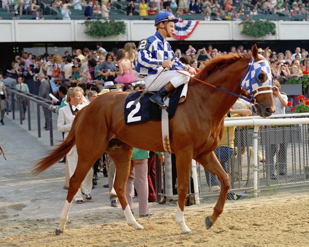 Only 2️⃣ weeks left until we find out who will join the elite list of #BelmontStakes winners including the legendary Secretariat.

📸 @coglianesephoto