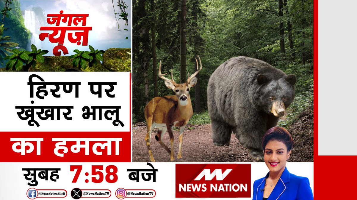देखिए जंगल न्यूज़ सुबह 7:58 बजे सिर्फ #NewsNation पर @KhushbooAnchor