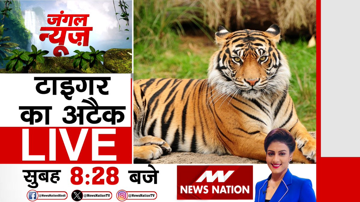 टाइगर का अटैक LIVE देखिए सुबह 8:28 बजे सिर्फ #NewsNation पर @KhushbooAnchor