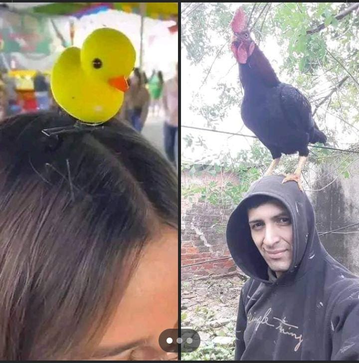 ᜣꪊ᥊᥊ꫀ᥅_ꪮ🇦🇷 tweet media