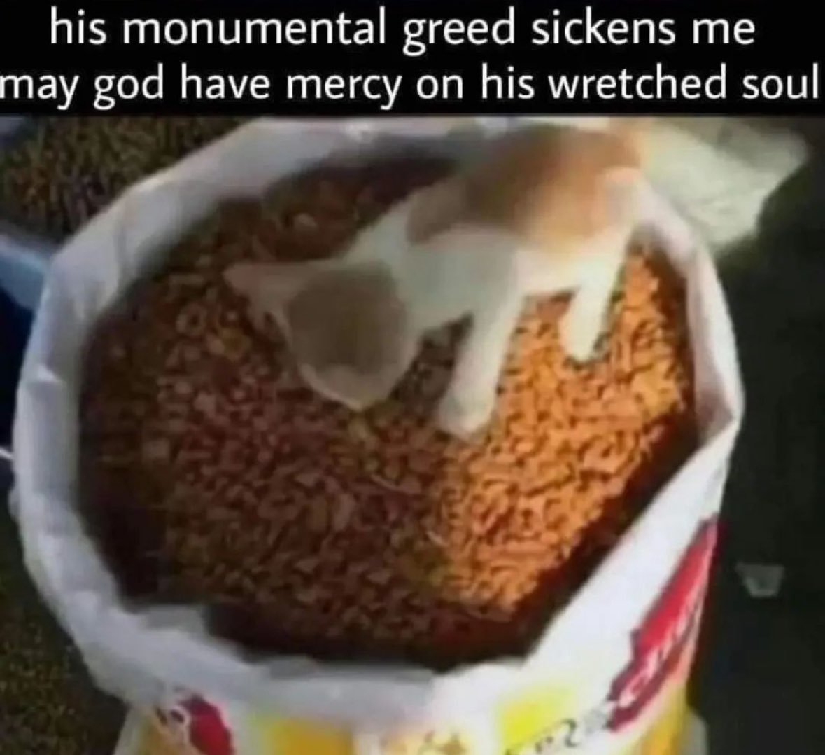 memes_advanced's tweet photo. @BTCminingUS @MiningAdvanced con vo running off with the kibble that’s left https://t.co/zFVfkNjXmr