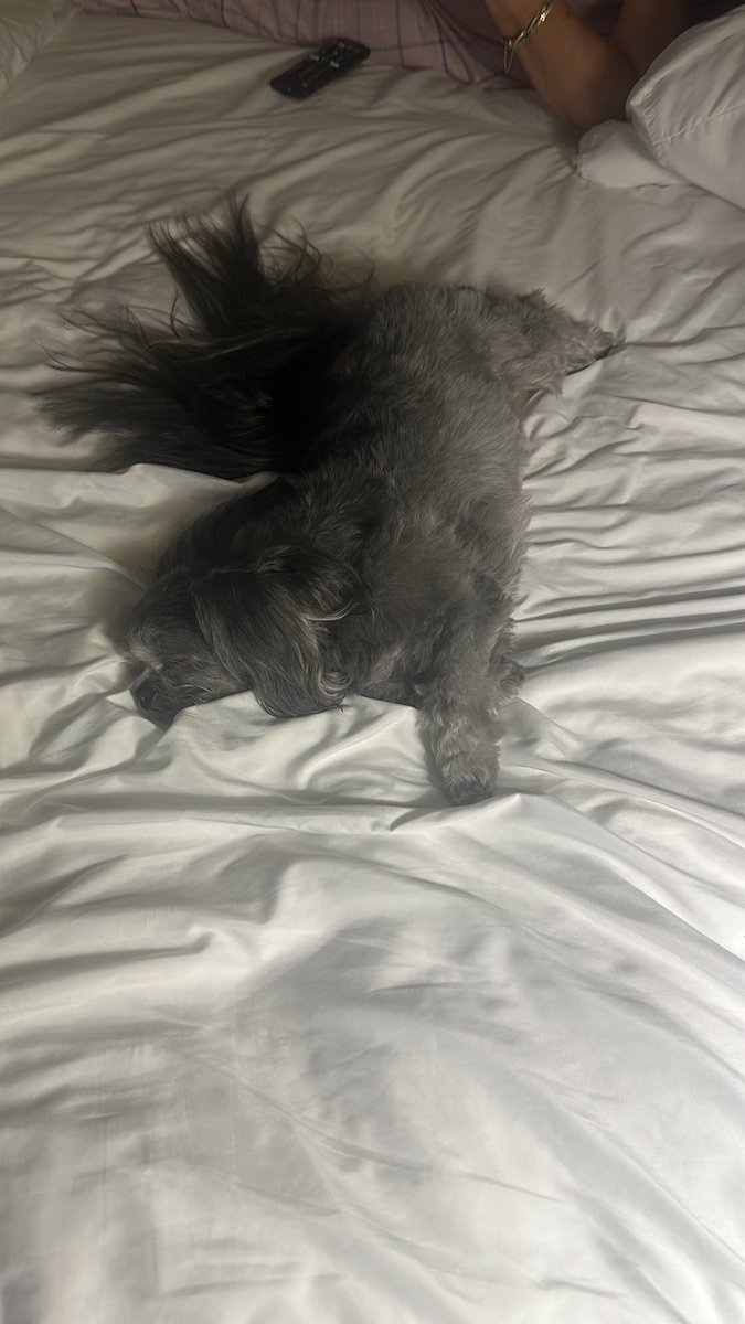 Miley the Amazon tweet media