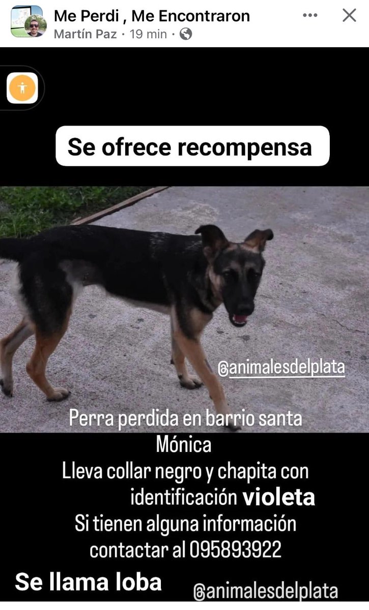 Adriana43587622's tweet photo. https://t.co/cD1QiZjzPe