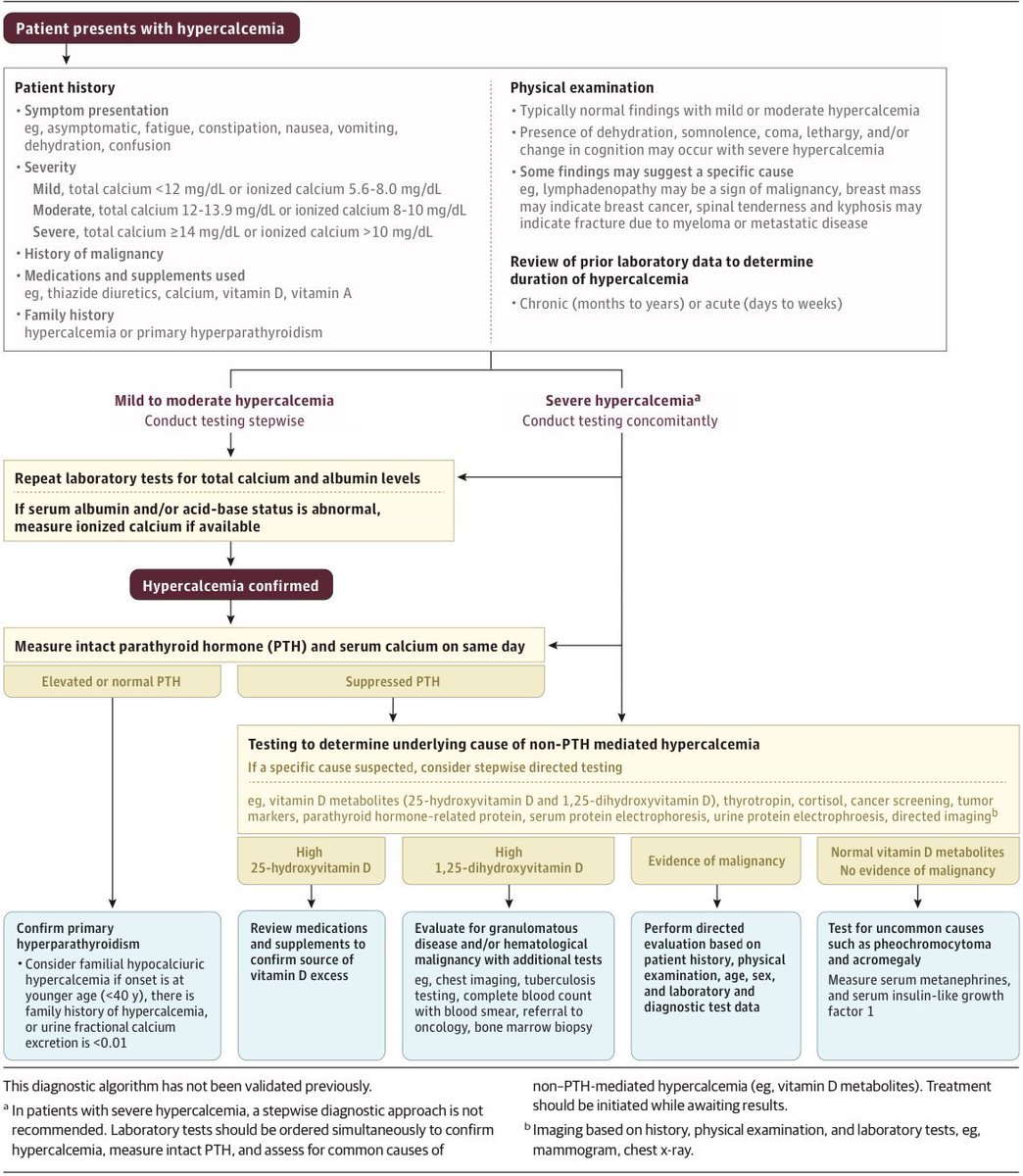 Medicina Interna | CMNO tweet media