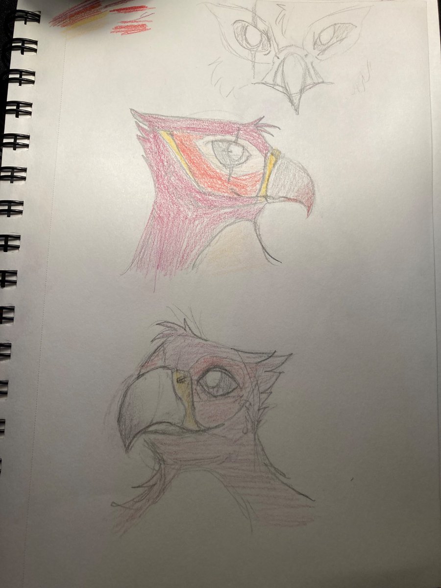 Tofu_Civet's tweet photo. Figuring out how beaks work by drawing my birdie boy #avain #furry #art https://t.co/NUI6O2fWuc