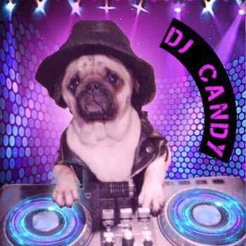 One more request from Dj Lola and then she is off to Dreamland here is  Oasis - Morning Glory (Official HD Remastered Video) #paws4music @candyliggett 

youtu.be/Wm54XyLwBAk?fe…