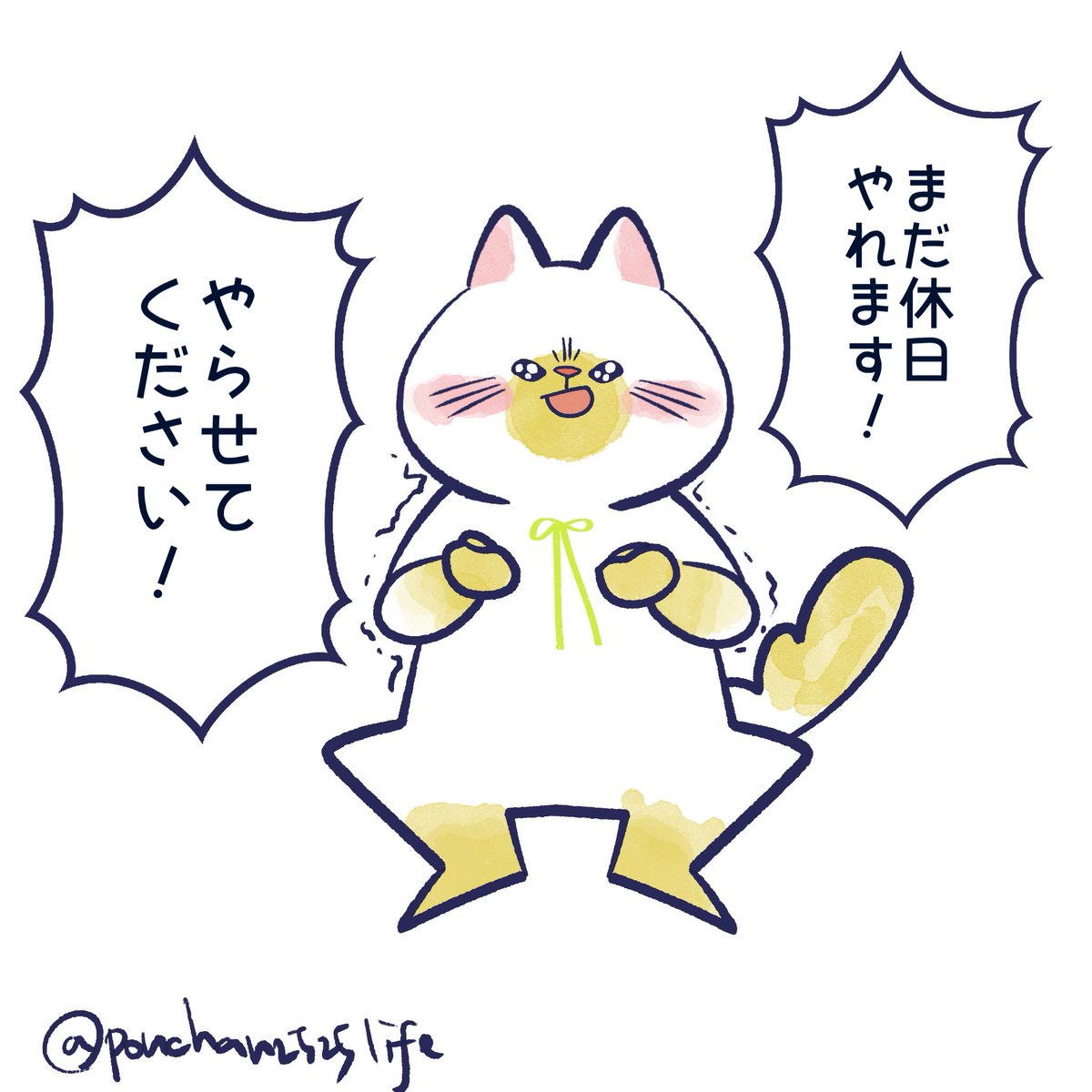 ぽんちゃん｜テキトーに生きてみる🌻 (@ponchan2525life) / Posts / X