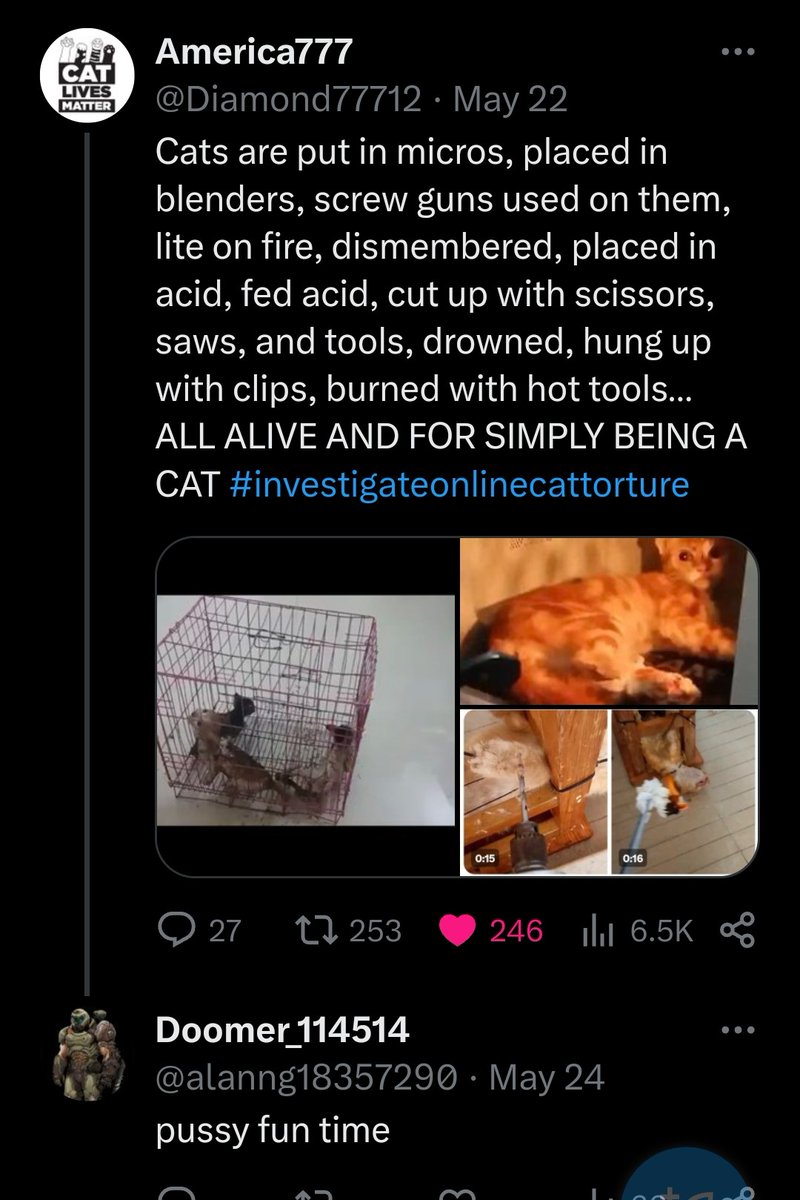 #PracticeWhatYouPreach! Demand #AnimalProtectionLaw in #China. Because government of #China🇨🇳 has NO law against #AnimalAbuse, #China🇨🇳 broadcasts their #CatAbuse every day to the rest of the world! And their Chinese🇨🇳 fans like my old follower @ alanng18357290 and @