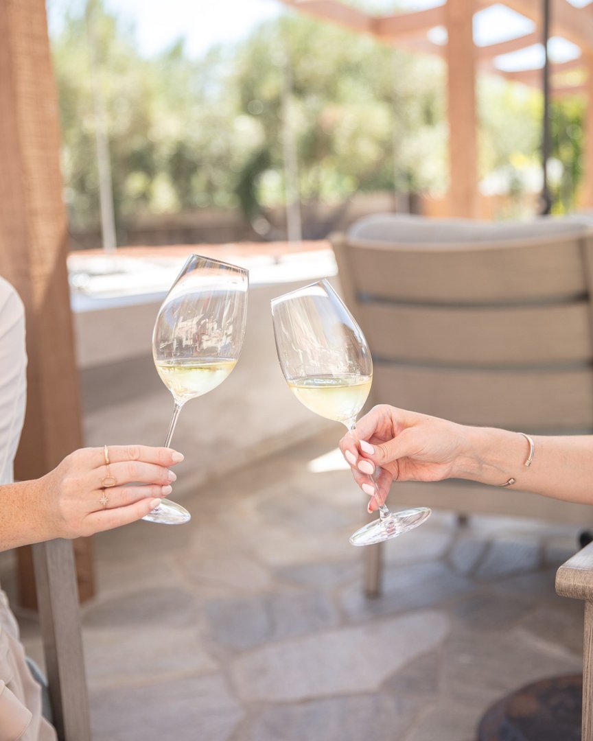 Cheers to #NationalWineDay! Tag your wine bestie 🍷