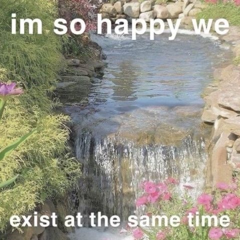 cthuwucult's tweet photo. mood https://t.co/utz18LMqnx