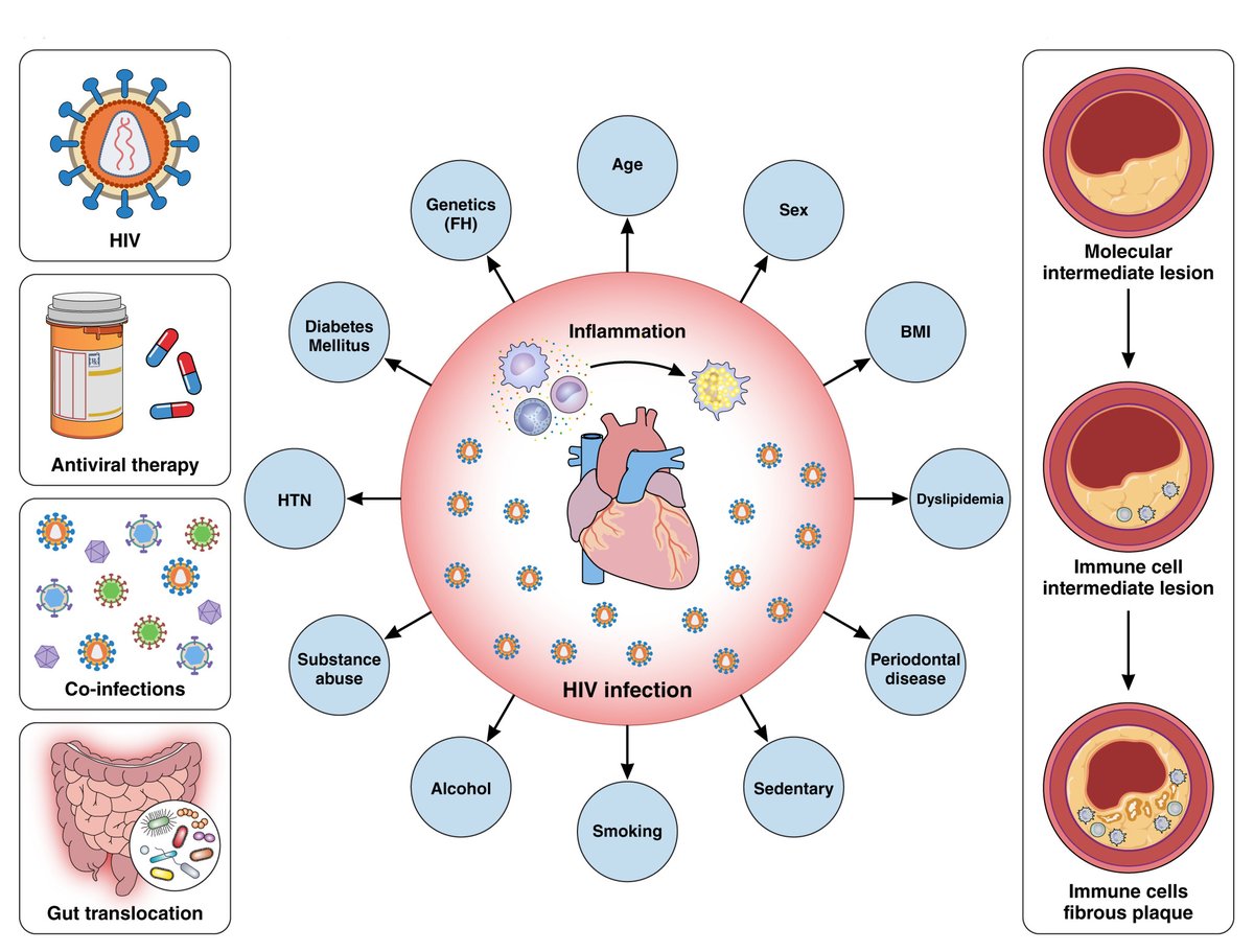 @CircRes #HIV and #CVD Review Series Alert! '#Inflammation in HIV and its Impact on #Atherosclerotic Cardiovascular Disease' ahajrnls.org/3wPdfgq Authored by Drs. @Laventaobare & colleagues. @CWanjallaMDPhD