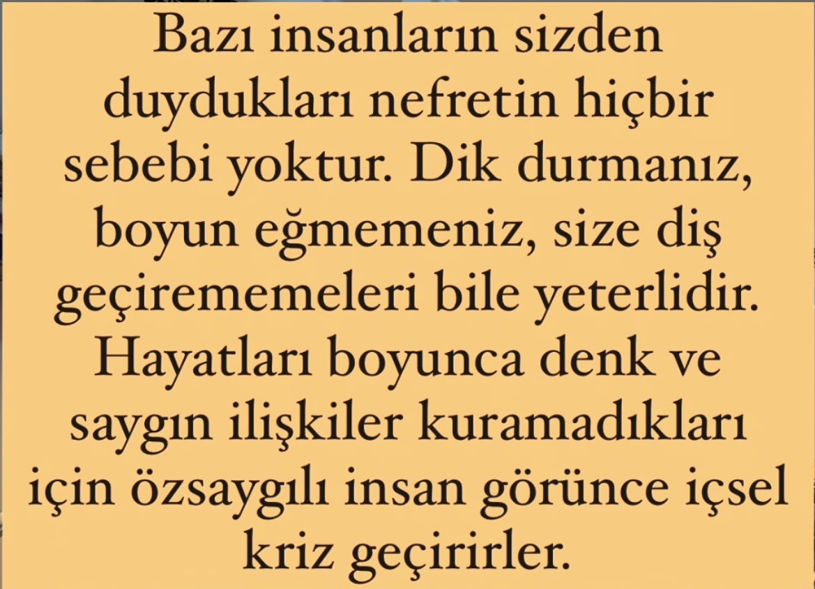 Konu biz değiliz, tamamlanamayan ruhları.