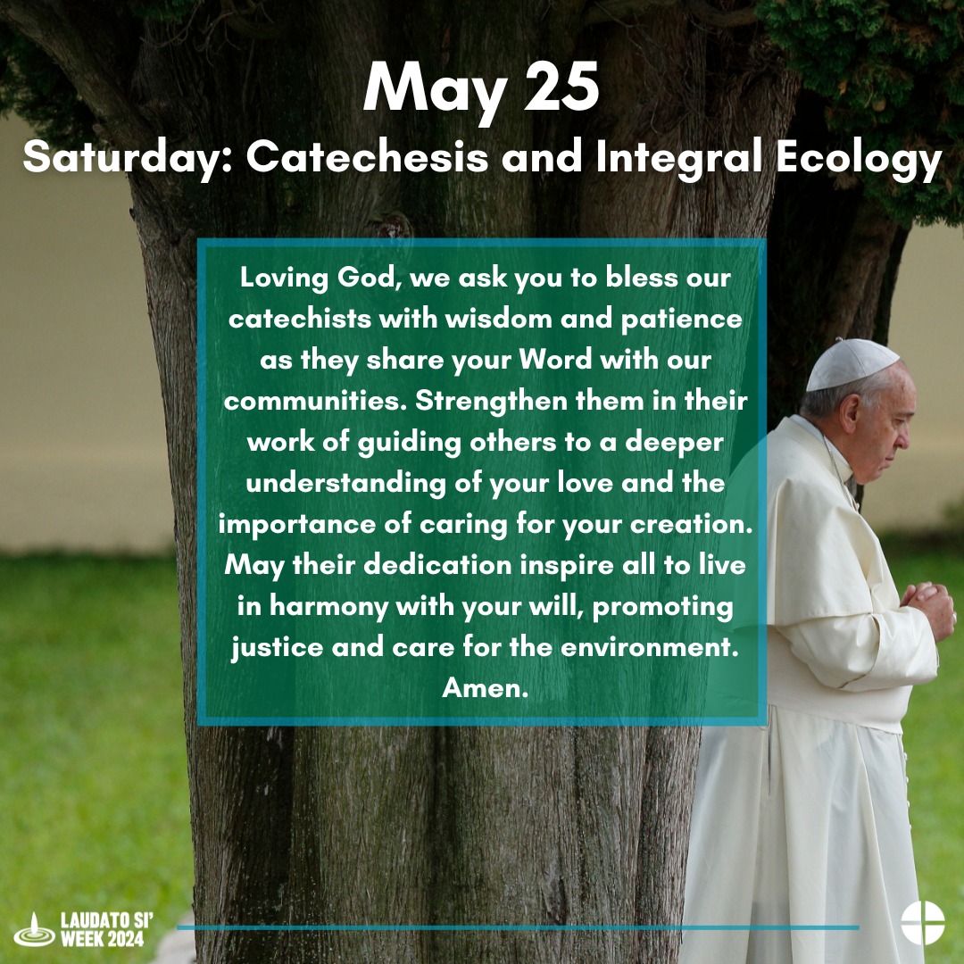 For his invisible attributes, namely, his eternal power and divine nature, have been clearly perceived, ever since the creation of the world, in the things that have been made.  Romans 1:20 #LaudatoSiWeek2024