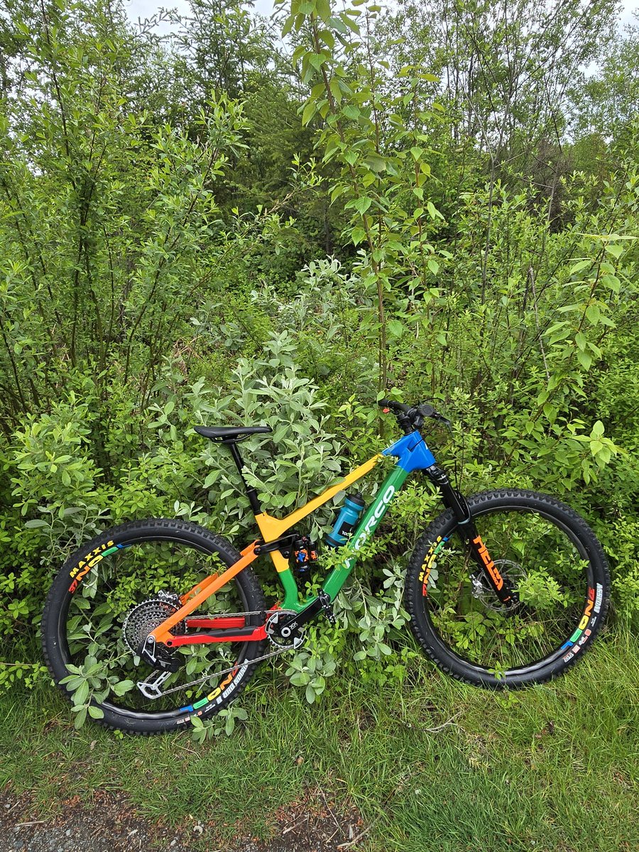 _theloveoftrees's tweet image. Leveled up my #scanforpoints kit. Walking is not enough now that the playing field is getting so competitive!(went from 60 something to getting booted out of the top 100 in a couple of weeks!)Took this beauty on her maiden trip today 🌳 @ENOalliance @wmtoken TREES Earth Node 🔥