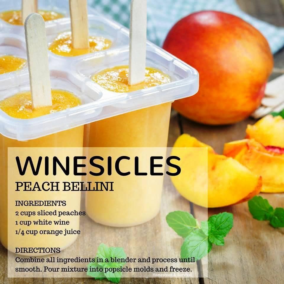 For hot days.....something to suck on 😋🍇😎🍷 #winecocktail #wine #peachbellini #bellini #winesicles