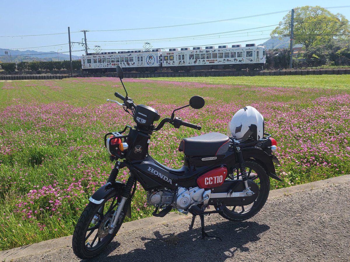 蓮華畑とタマ電車🚈