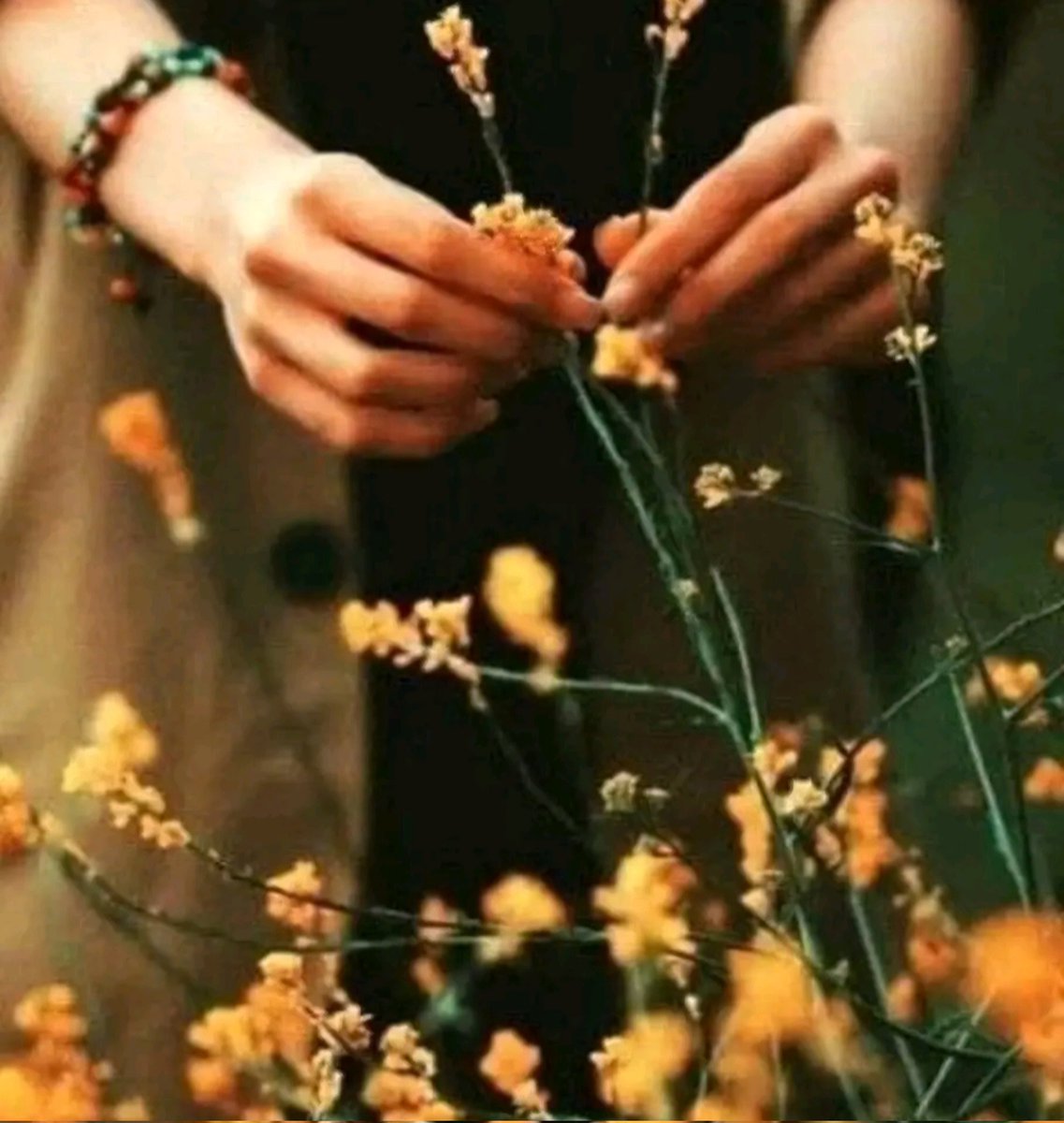 .

Hangi çiçeği sevdiğimizi bile
bilmeyenler için yüreğimizde çiçekler büyütmüşüz..
.

#huzurlugeceler ❤️