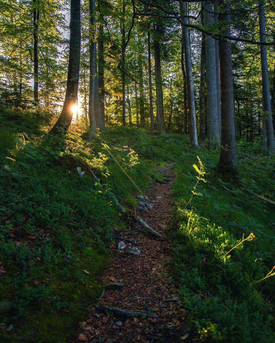 Морнинг #Жиргээ 🙏