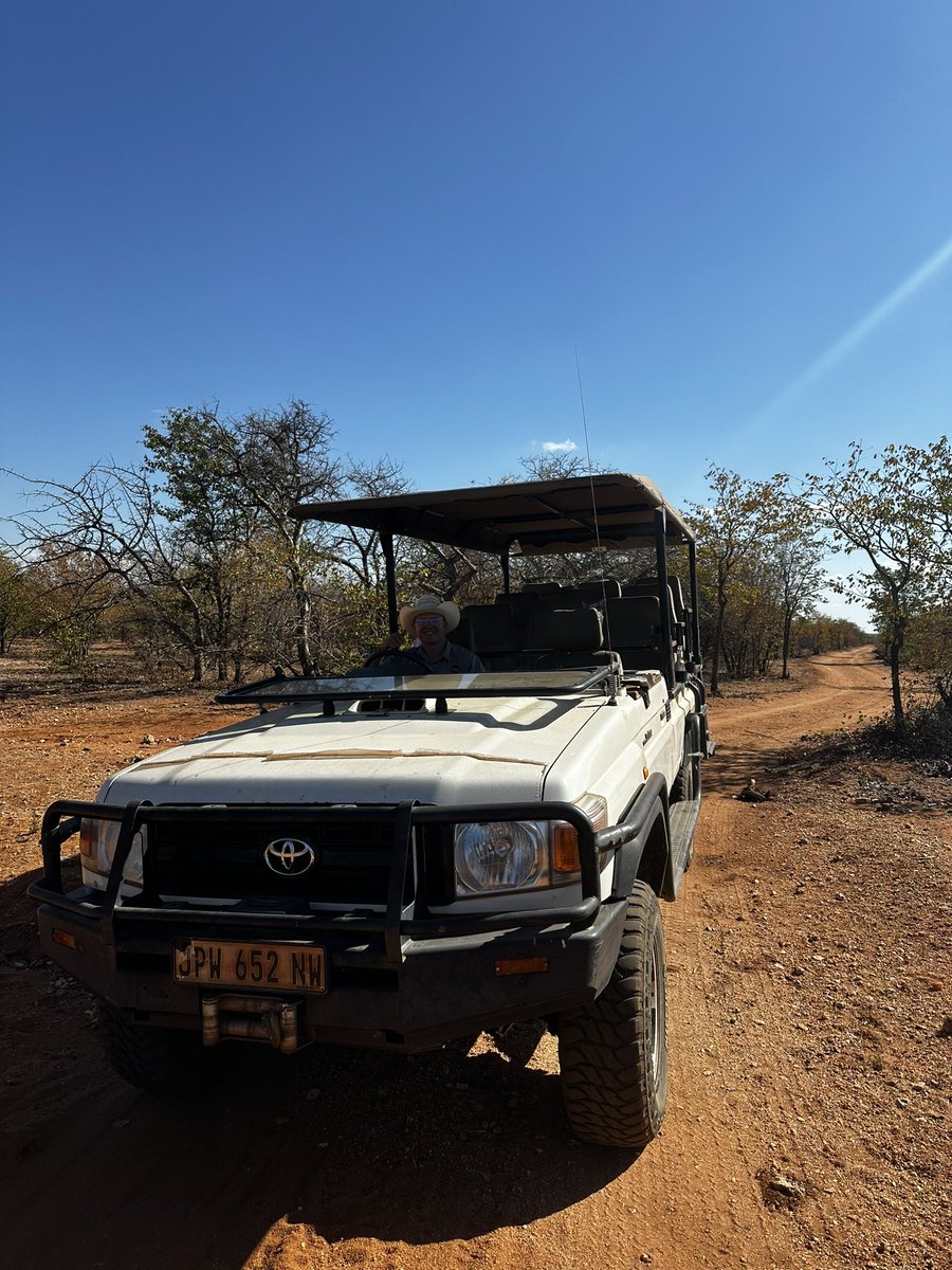 Jezzeey's tweet photo. Did an African safari today what an experience https://t.co/nFkyZYIiP1