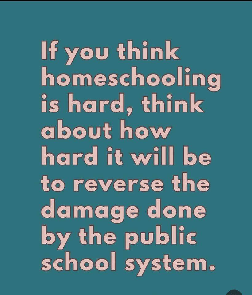 Heyoooo...time to give a middle finger to the indoctrination facilities. 

#homeschool #canada #publicschool #indoctrination #unschool #freeschool