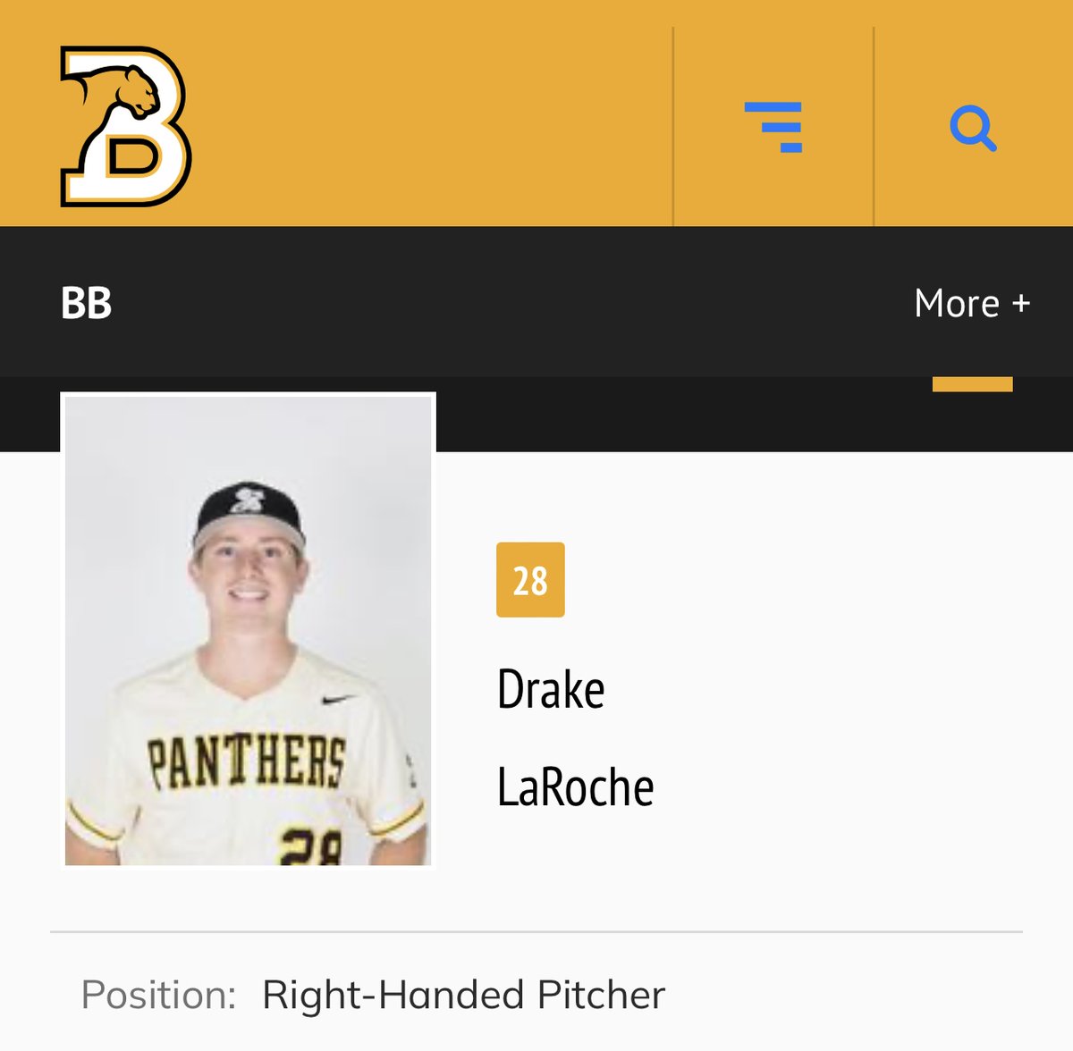 As if the Birmingham-Southern College baseball team's story isn't already wild enough, the ace is Drake LaRoche His father famously retired after 12 MLB seasons because of him