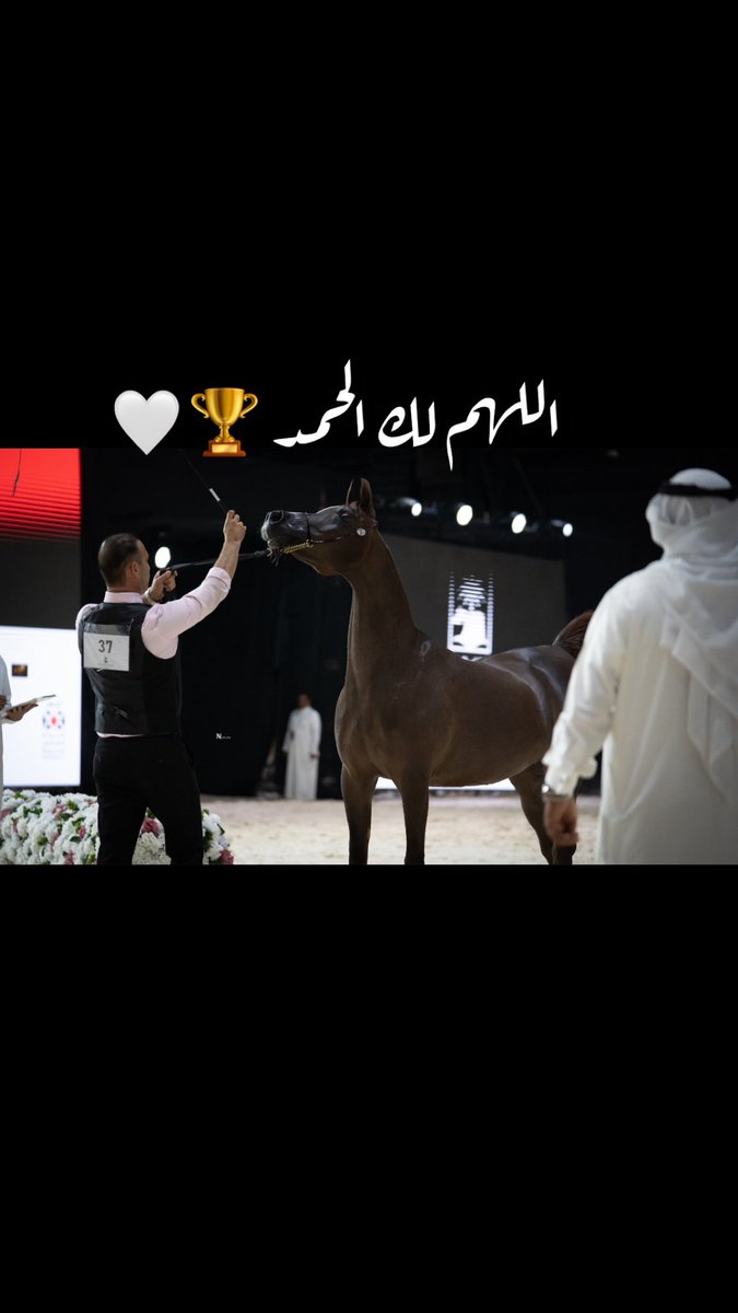 علي الخالدي tweet media