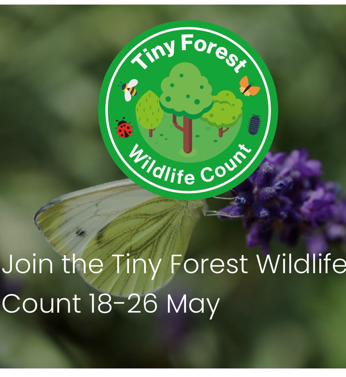 Due to the change in weather we will bring the Tiny Forest wildlife count session to 10 am tomorrow in Cator park - join us if you can to count the pollinators and bugs in the tiny forest ///fake.landed.caller