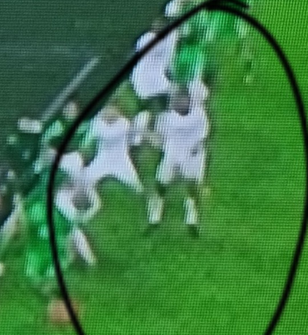 Razonamiento Verdiblanco tweet media