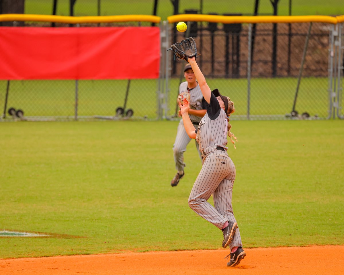 MSH Visual tweet media