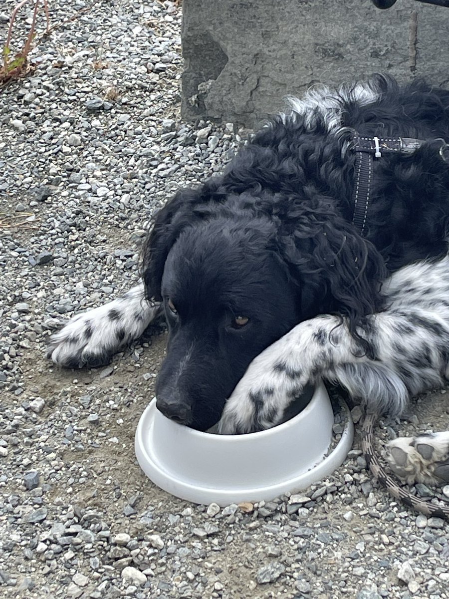 Wat  mooi hier in Noorwegen 

youtube.com/playlist?list=…