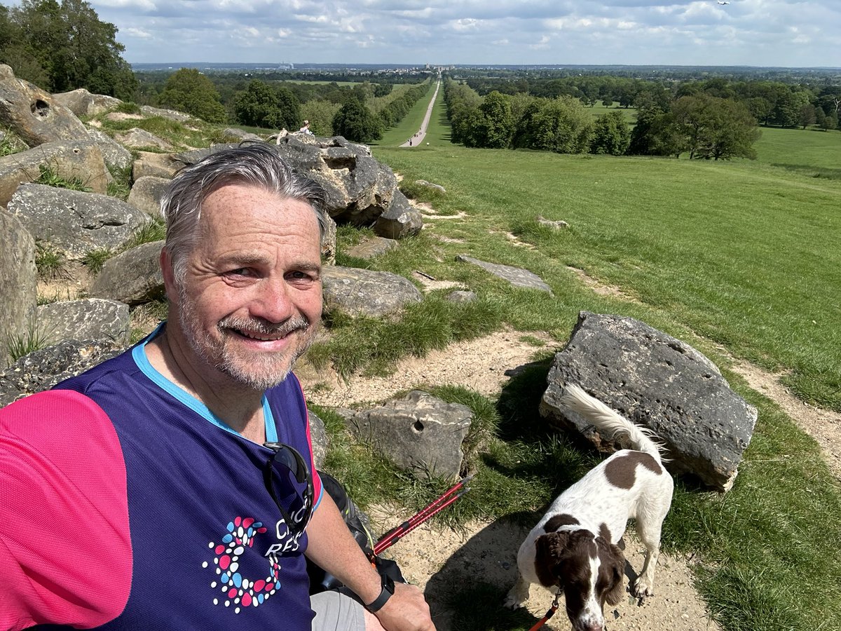 Nick Riley tweet media