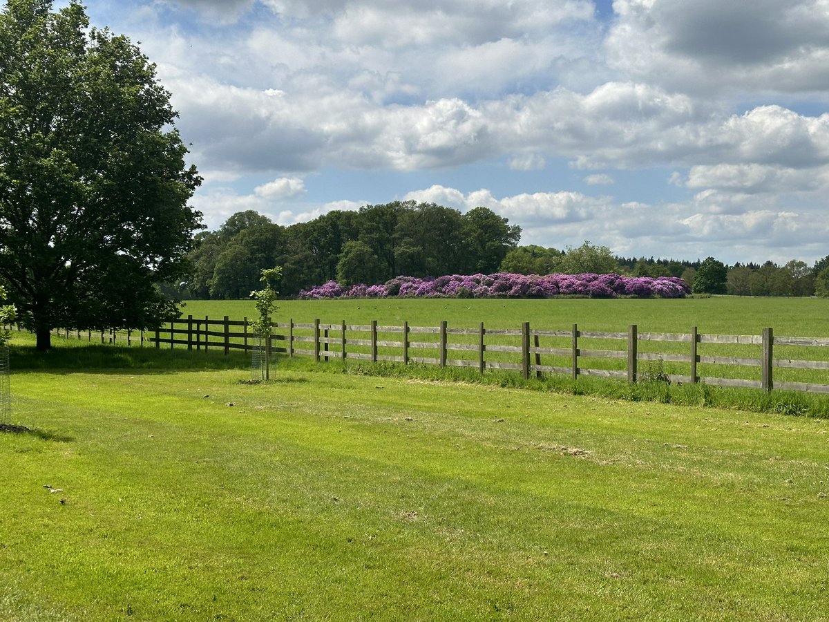 Nick Riley tweet media