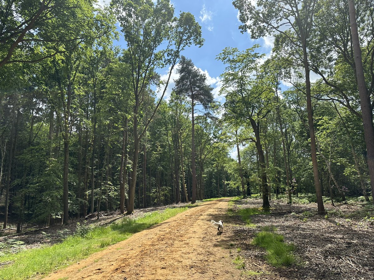 Nick Riley tweet media