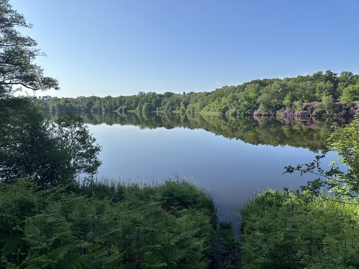 Nick Riley tweet media