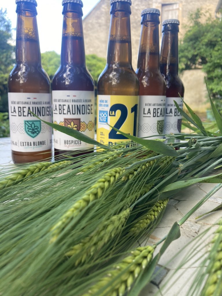 Venez nous voir en #Bourgogne : terroir pour les orges Brassicoles 🌾 
🍺 De l’Yonne à la Haute Côte-d’Or, des semenciers s’impliquent localement pour les artisans brasseurs👇
🍻 Venez à Beaune sur le campus @BrasserieFrance pour déguster nos bières 💯% #CôteDOr !